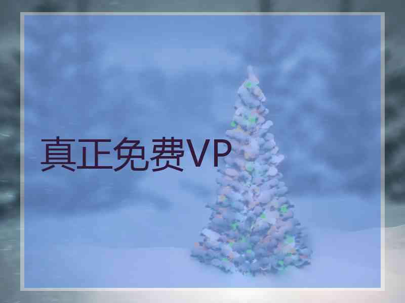 真正免费VP