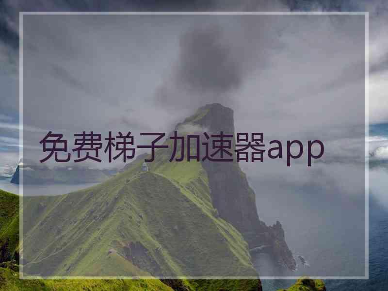 免费梯子加速器app