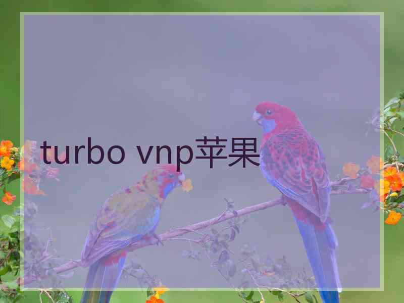 turbo vnp苹果