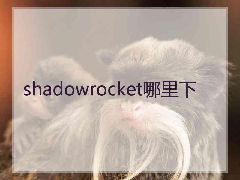 shadowrocket哪里下