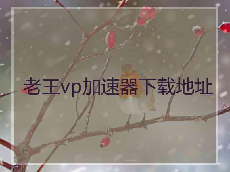 老王vp加速器下载地址