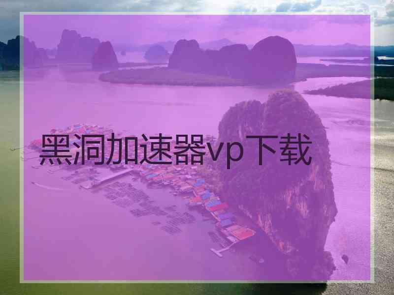 黑洞加速器vp下载