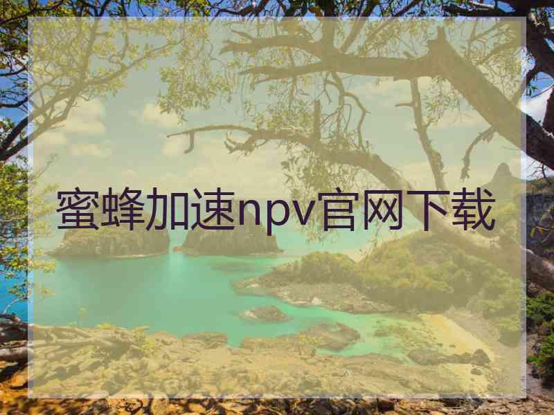 蜜蜂加速npv官网下载