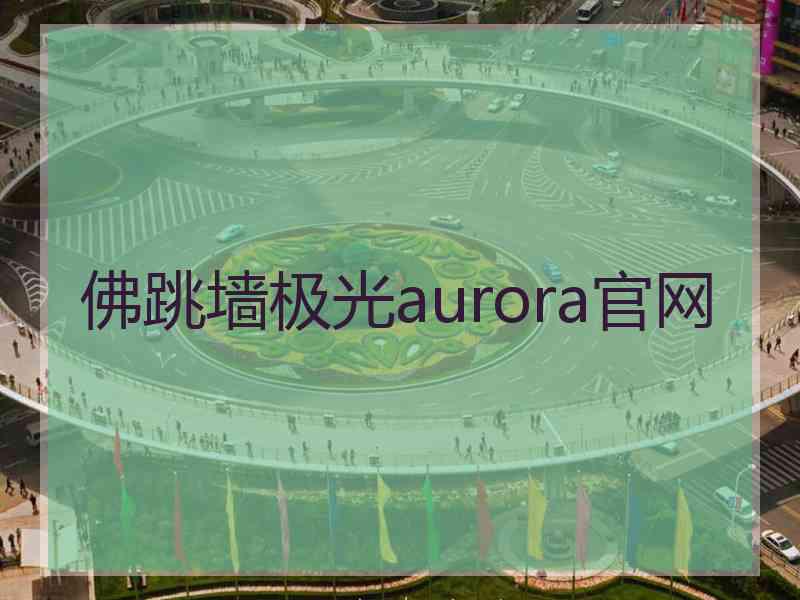 佛跳墙极光aurora官网