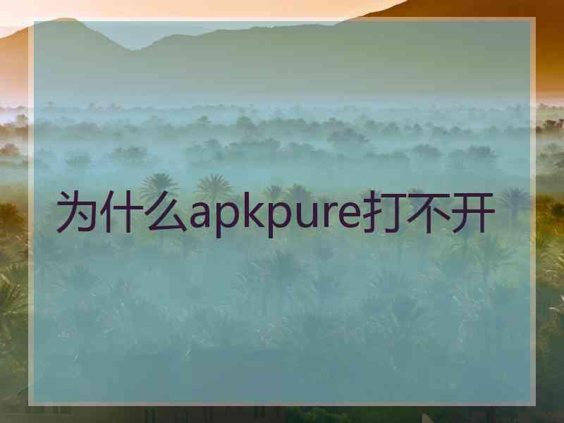 为什么apkpure打不开