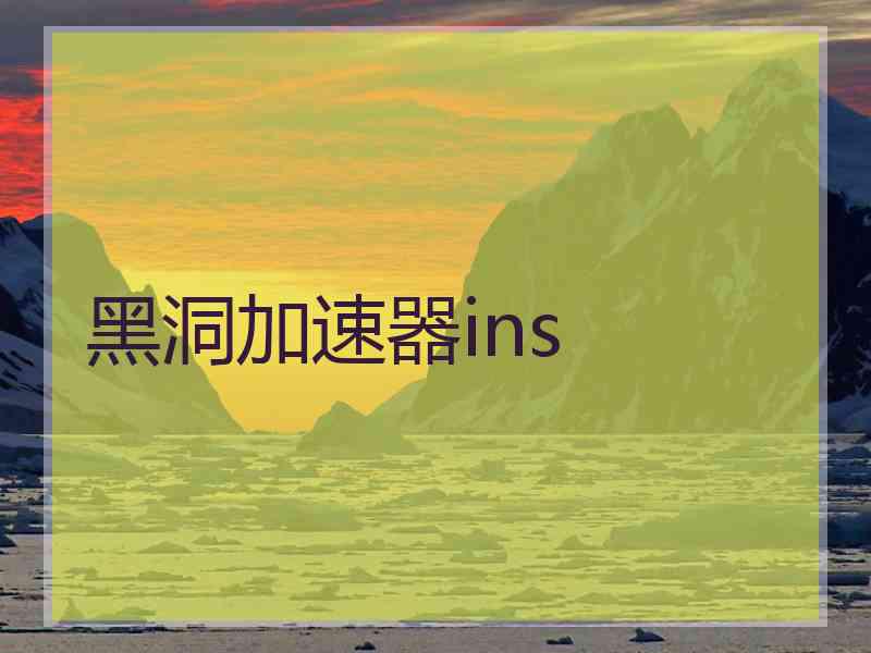 黑洞加速器ins