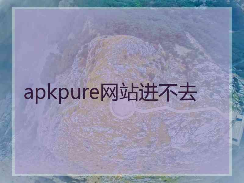 apkpure网站进不去