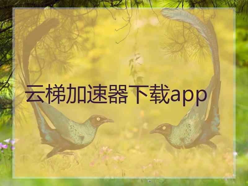 云梯加速器下载app