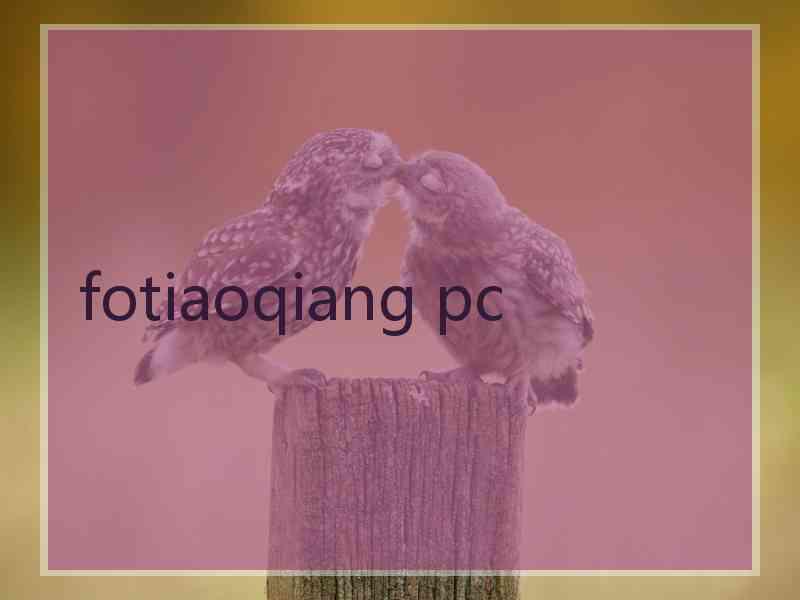 fotiaoqiang pc