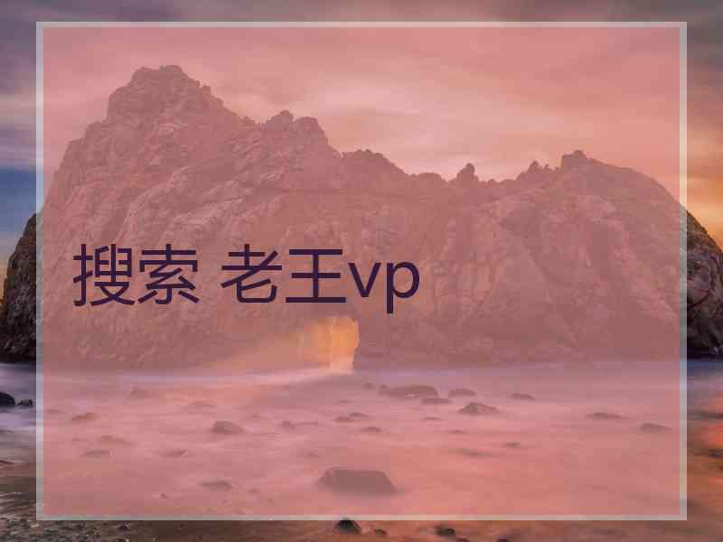 搜索 老王vp