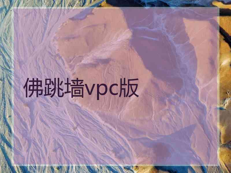 佛跳墙vpc版