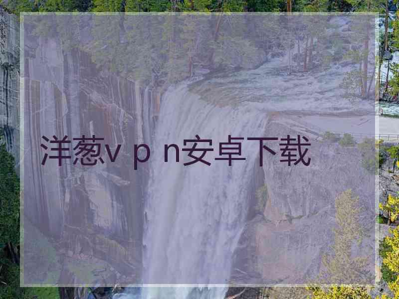 洋葱v p n安卓下载