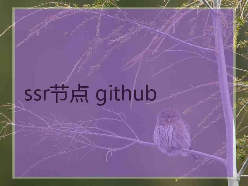 ssr节点 github