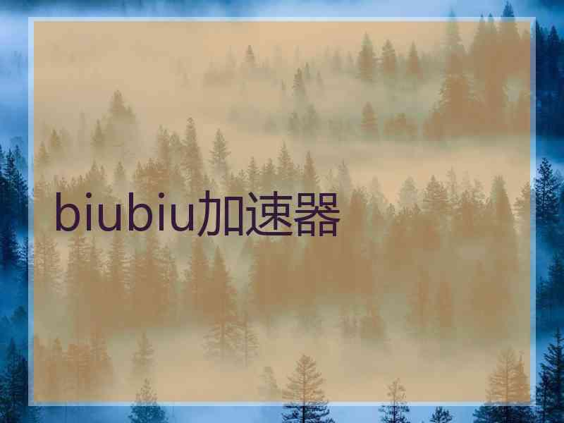 biubiu加速器