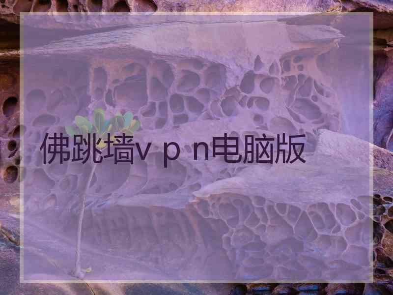 佛跳墙v p n电脑版