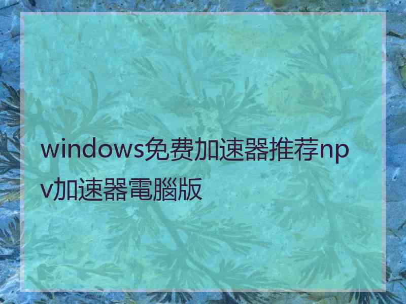 windows免费加速器推荐npv加速器電腦版