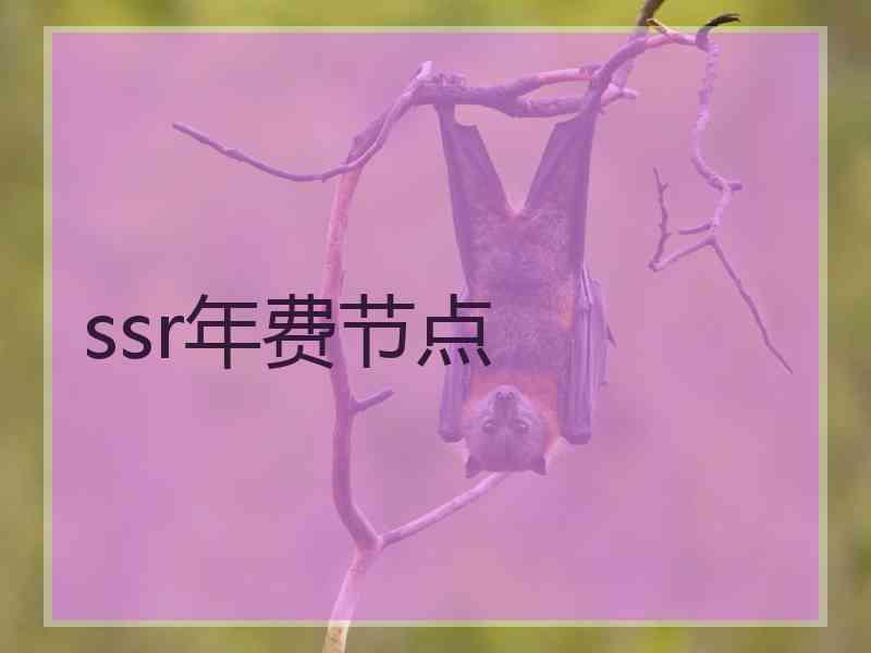 ssr年费节点