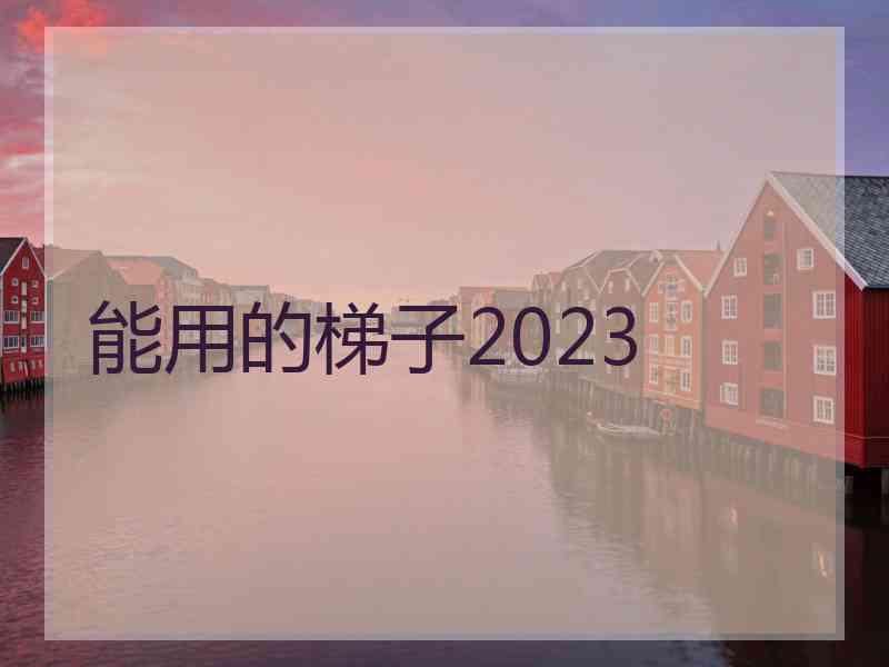 能用的梯子2023