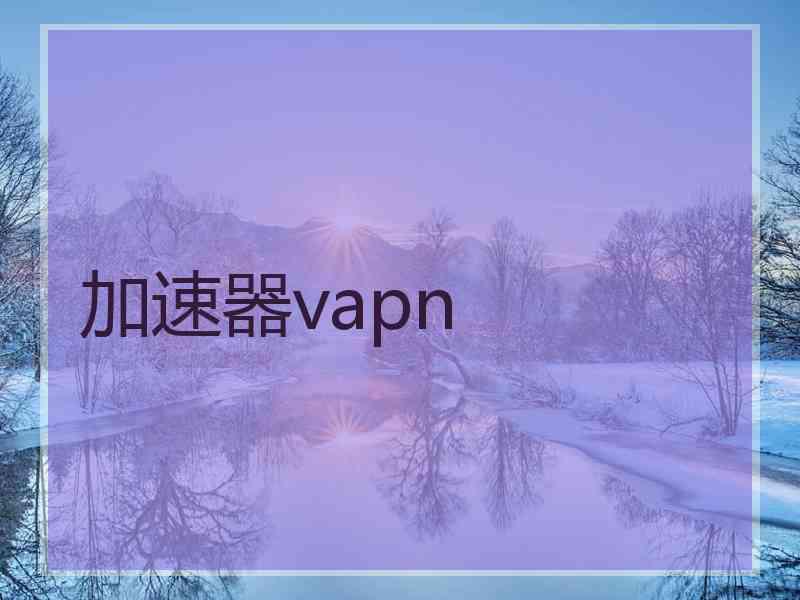 加速器vapn