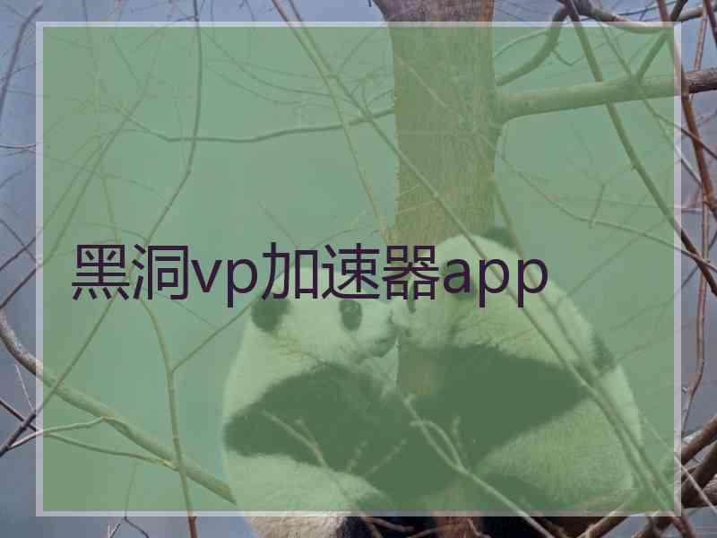 黑洞vp加速器app