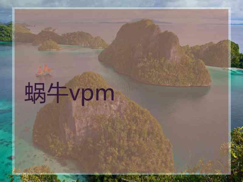 蜗牛vpm