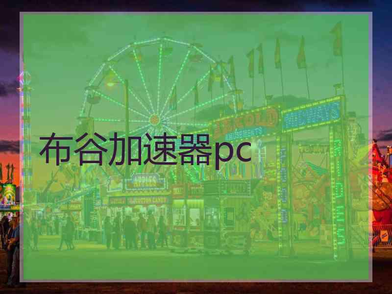 布谷加速器pc