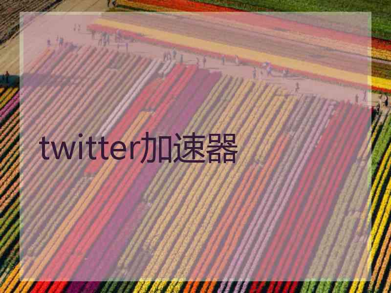 twitter加速器