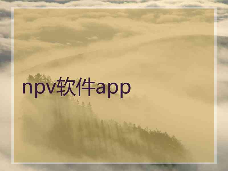 npv软件app