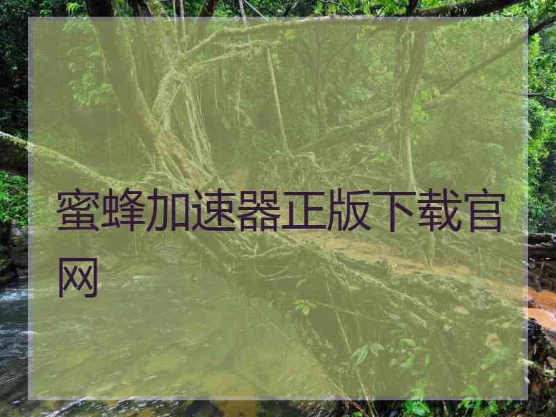 蜜蜂加速器正版下载官网