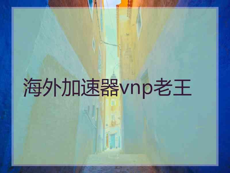 海外加速器vnp老王