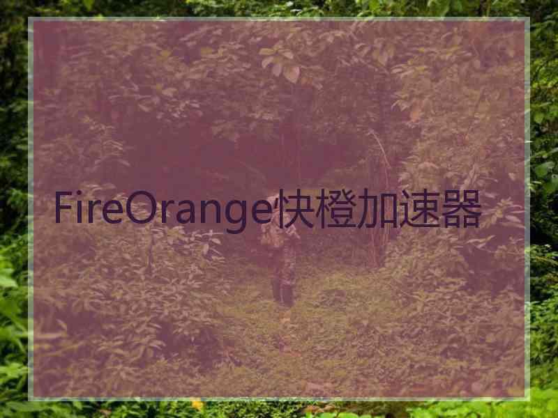 FireOrange快橙加速器