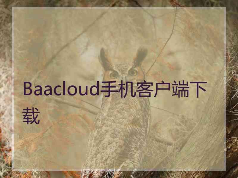 Baacloud手机客户端下载