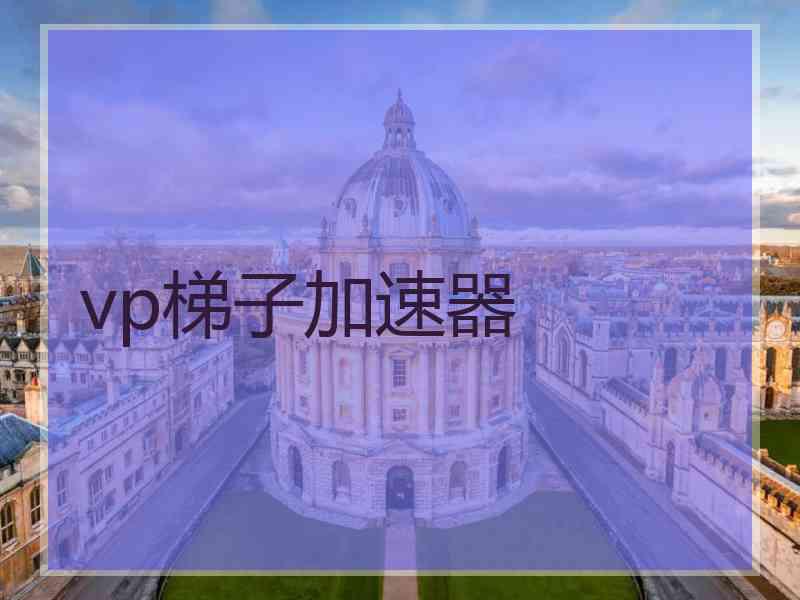 vp梯子加速器