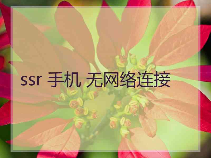 ssr 手机 无网络连接