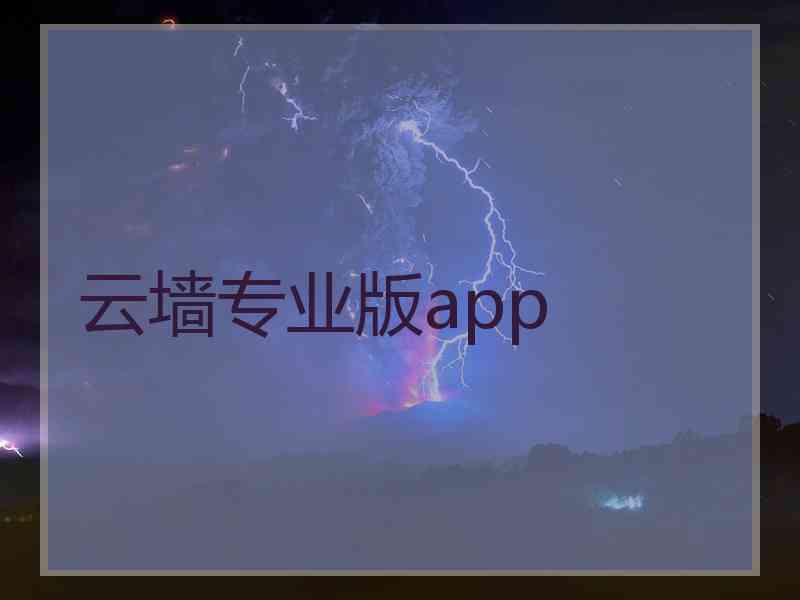 云墙专业版app