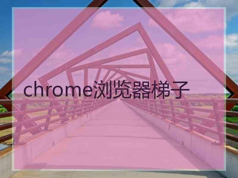 chrome浏览器梯子