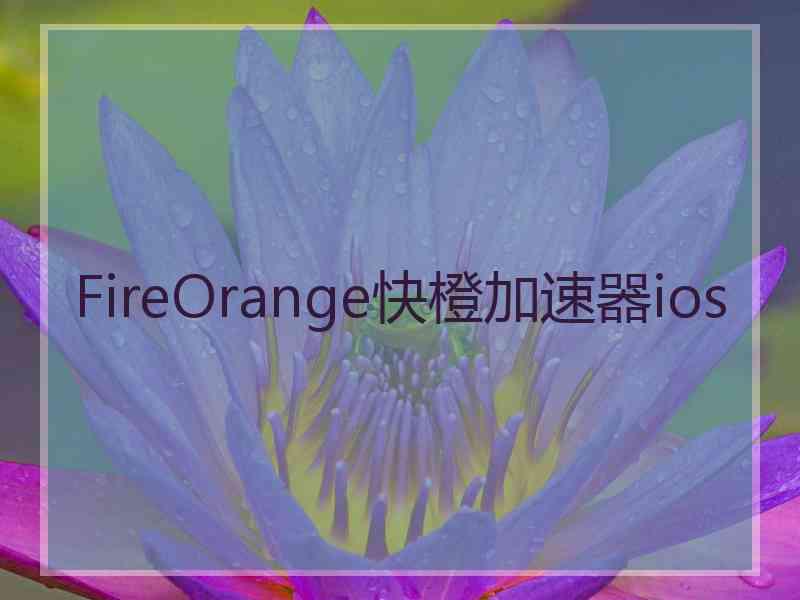 FireOrange快橙加速器ios