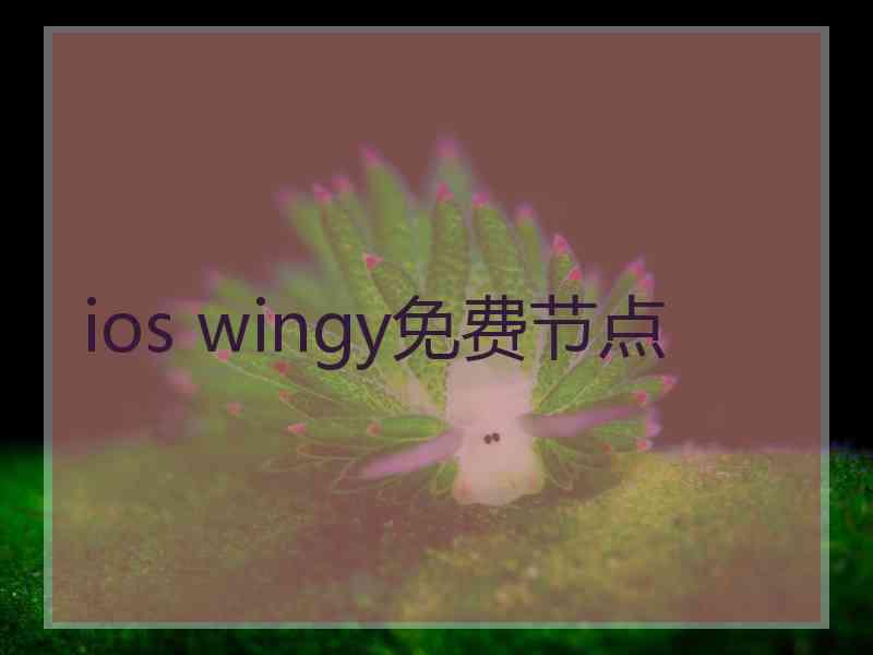 ios wingy免费节点