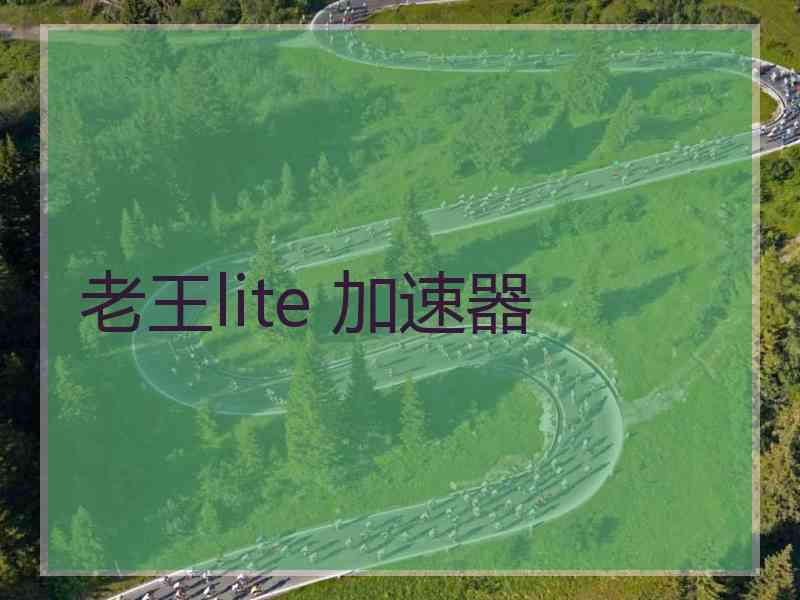 老王lite 加速器