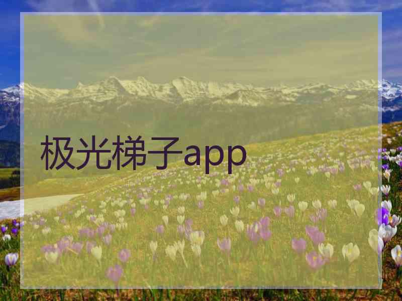 极光梯子app