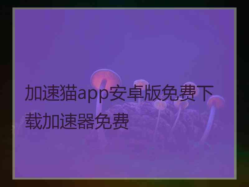 加速猫app安卓版免费下载加速器免费