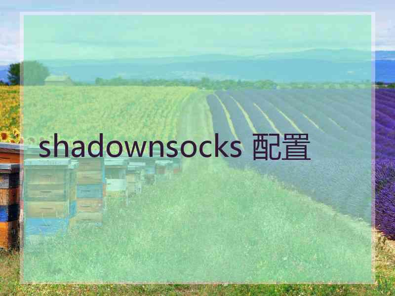 shadownsocks 配置