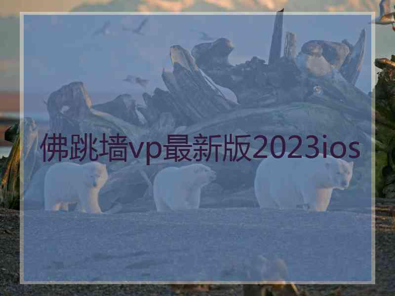 佛跳墙vp最新版2023ios