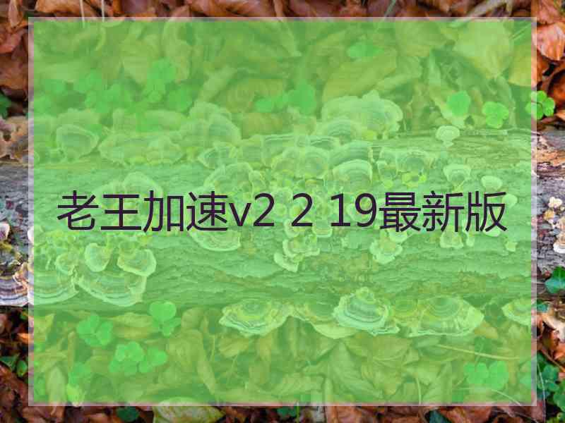 老王加速v2 2 19最新版