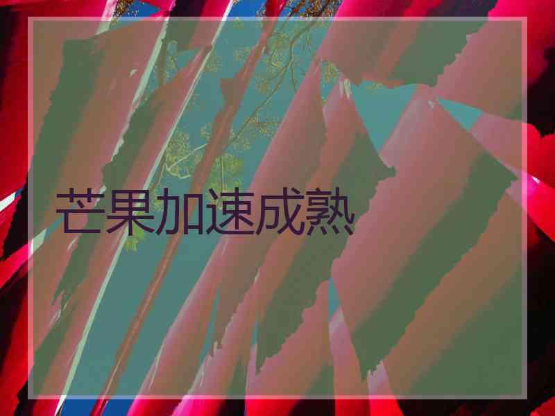 芒果加速成熟