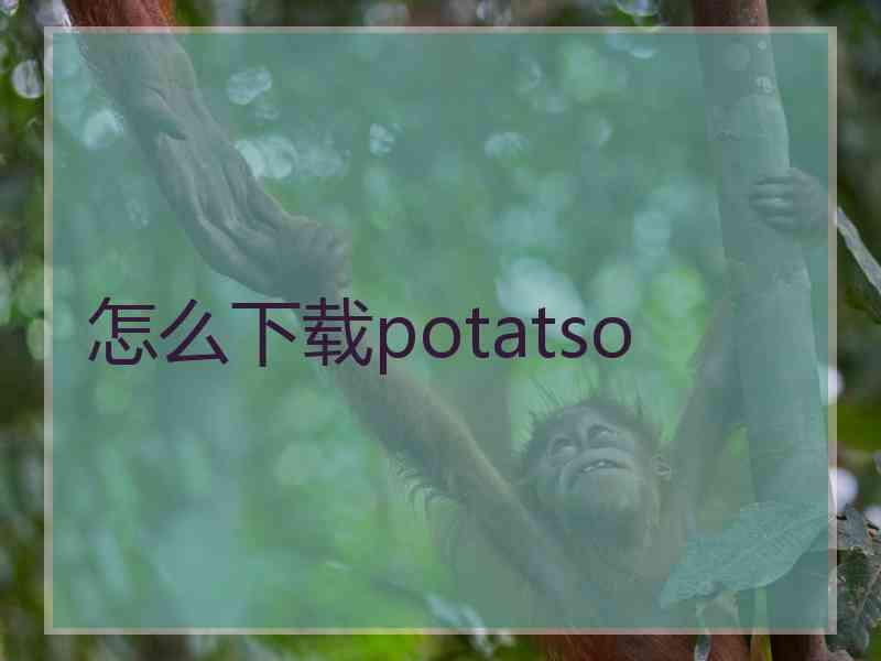 怎么下载potatso