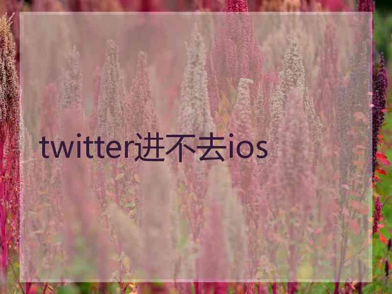 twitter进不去ios