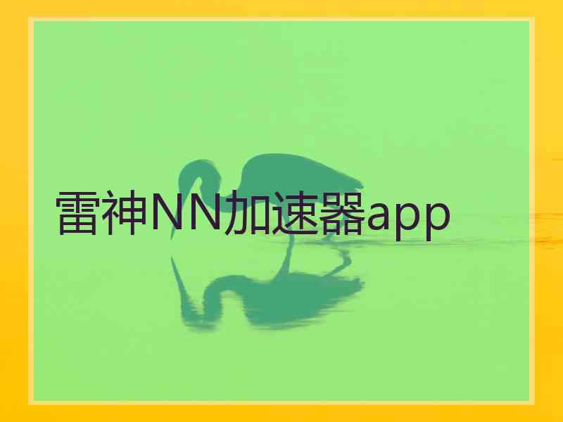 雷神NN加速器app