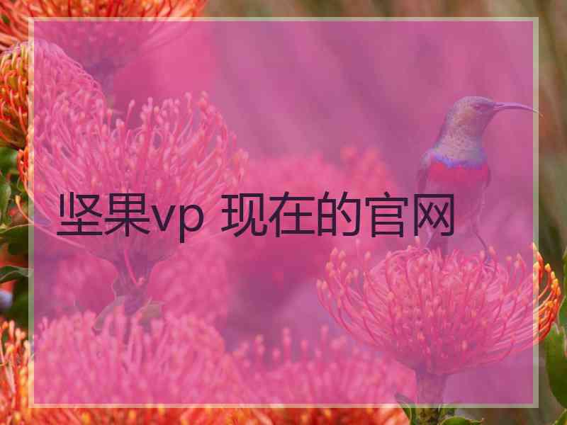 坚果vp 现在的官网