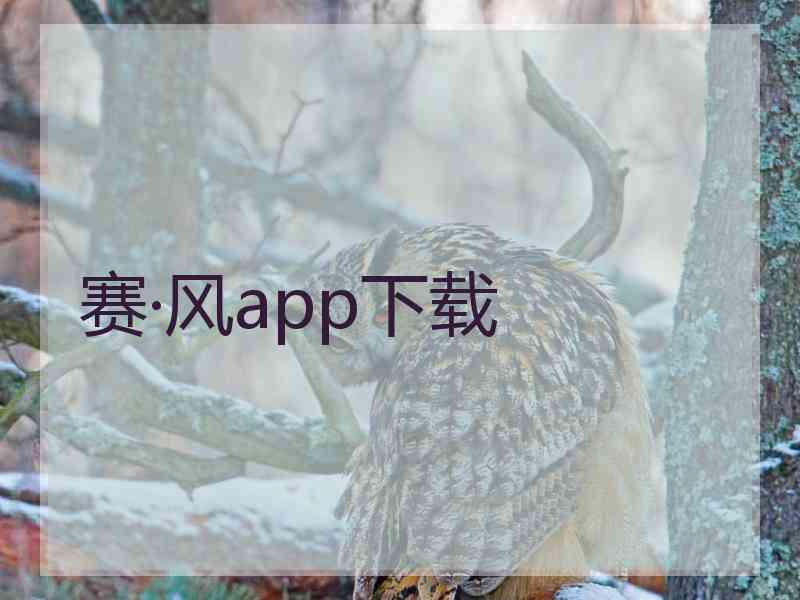 赛·风app下载